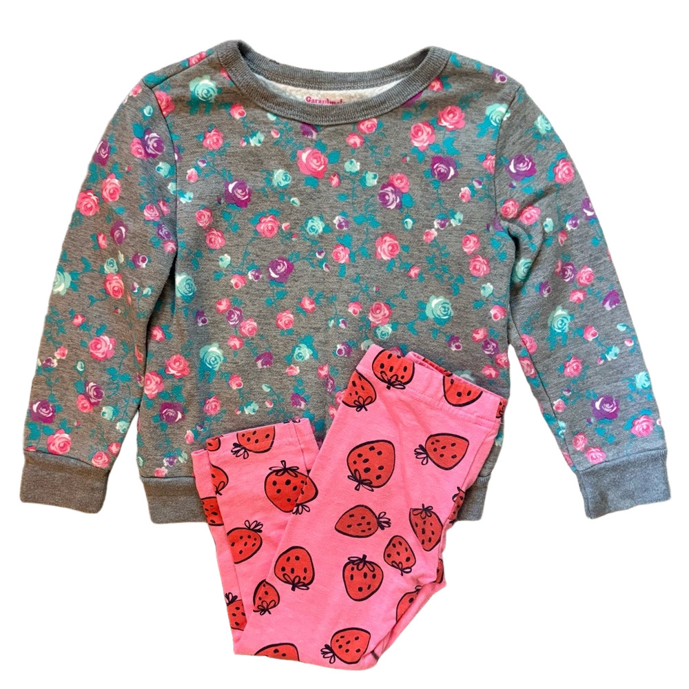 Girls 3T Floral Sweatshirt & Strawberry Leggings Outfit Bundle